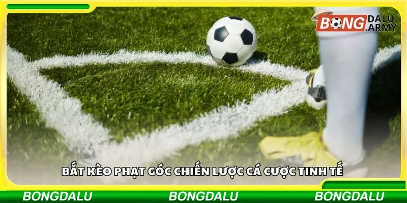 Bắt kèo phạt góc chiến lược cá cược tinh tế