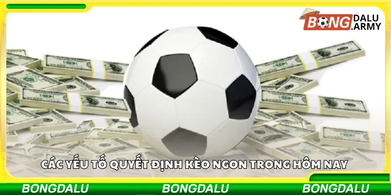 Các yếu tố quyết định kèo ngon trong hôm nay